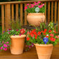 Colored Glass Plant Watering Globes（6 Colors）