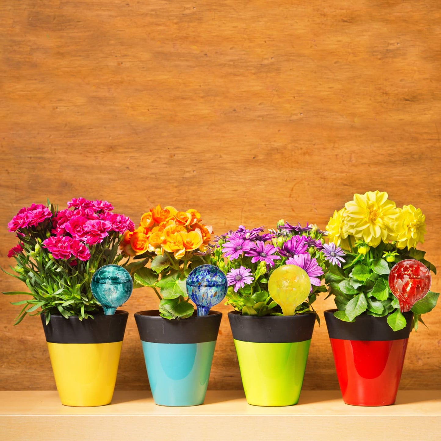 Colored Glass Plant Watering Globes（6 Colors）