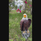 24.4" Large Standing Bald Eagle Statue, Hand-Painted Resin American Eagle for Patio & Lawn Decor