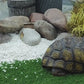 21" Majestic Antique Bronze Tortoise Statue, Realistic Resin Turtle for Garden & Indoor Decor