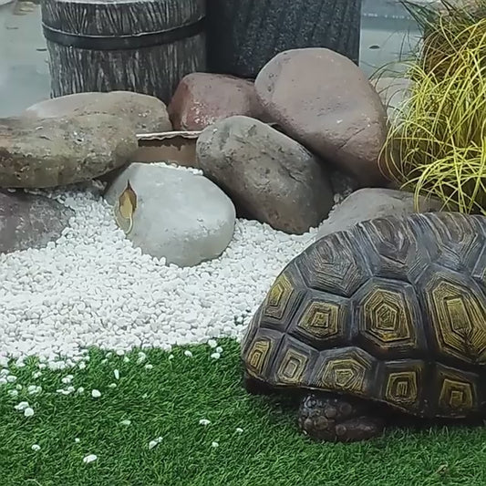 21" Majestic Antique Bronze Tortoise Statue, Realistic Resin Turtle for Garden & Indoor Decor