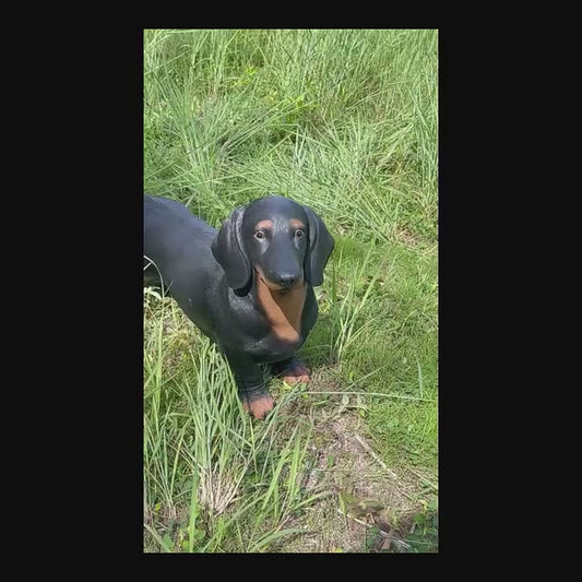 26" Lifelike Black & Tan Dachshund Statue, Hand-Painted Resin Dog for Patio & Dog Lovers Gift