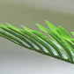 5FT Golden Cane Artificial Palm Tree, Realistic Faux Potted Plant for Indoor Outdoor Decor
