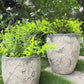 Rustic Cracked Stone MGO Planter Set of 2, Concrete-Look Flower Pots with Drainage Holes